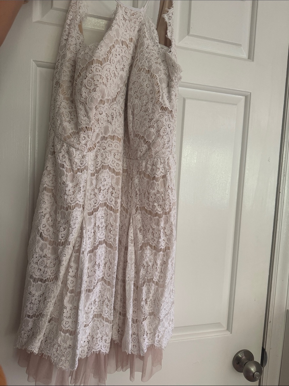 Francesca's Collections Light Blush Lace Mini Dress